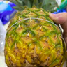 佳農 黑鉆菠蘿1粒裝 菲律賓鳳梨 凈重2斤起 新鮮水果 源頭直發(fā) 包郵 曬單實(shí)拍圖