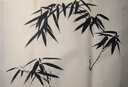 威露士9X殺菌洗衣凝珠12g*32粒  除螨 濃縮洗衣液 洗衣液消毒水二合一  曬單實拍圖