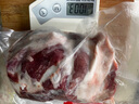 HI 海底撈羔羊后腿肉凈重2斤 原切火鍋烤肉燒烤串食材 內蒙古羊肉 國產(chǎn) 曬單實(shí)拍圖
