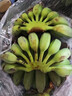 正宗廣西蘋(píng)果蕉大果香蕉5斤當(dāng)季新鮮米蕉蘋(píng)果粉蕉自然熟大芭蕉 5斤 曬單實(shí)拍圖
