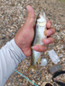夢(mèng)輝“鎢鋼亮片”釣馬口軍魚(yú)白條微物亮片路亞餌 銀色-3.5克 曬單實(shí)拍圖