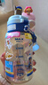 汪汪隊立大功（PAW PATROL）兒童雙飲水杯男女寶寶學(xué)生吸管杯子幼兒園食品級直飲水壺-天天款 曬單實(shí)拍圖