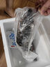 鱘食活凍石斑魚野外生長海捕龍膽珍珠斑 老虎斑生鮮魚類海鮮 石斑魚500-600g/條【買一送一】 曬單實拍圖