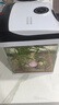 長銳魚缸一體缸自循環(huán)免換水家用客廳桌面小型金魚缸超白玻璃養(yǎng)魚缸 超白CRV200標準款+水蘭青竹景（真水草） 曬單實拍圖