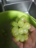 新疆吐魯番無核白葡萄馬奶提子新鮮水果當(dāng)季水晶無籽提子禮盒 馬奶白提 5斤 精選 曬單實拍圖