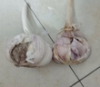 【百萬單爆品】紫白皮蒜水果大蒜超市生鮮蔬菜調(diào)料即食蒜 大蒜 500g 單果3.5-5cm 曬單實拍圖