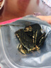 英氏（Engnice）兒童零食夾心海苔脆混合堅果高鈣零食拌飯海苔碎休閑解饞36g*2盒 曬單實拍圖