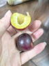 庾豐當季新鮮現摘脆紅李 新鮮水果整箱 孕婦脫骨青紅李子 團購送禮 5斤裝（凈果4.5斤）甄選果 顆顆甄選 產(chǎn)地直發(fā) 曬單實(shí)拍圖