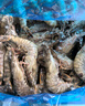 Member's Mark 泰國(guó)進(jìn)口 生冷凍黑虎蝦 2kg (約31-40只/每千克) 2kg(凈重) 曬單實(shí)拍圖