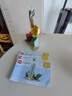 樂(lè )高（LEGO）積木拼裝31156 熱帶風(fēng)尤克里里兒童女孩女生玩具生日禮物 曬單實(shí)拍圖