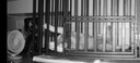 日本進(jìn)口 殺蠅餌劑3個(gè)裝呋蟲胺滅蠅藥小飛蟲克星果蠅誘捕器 曬單實(shí)拍圖