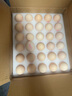 Member's Mark 鮮美肉包 1.3kg 20個(gè)裝 20個(gè)裝 曬單實(shí)拍圖