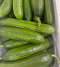【超市品質(zhì)】山東新鮮水果黃瓜嫩青瓜生吃蘸醬生鮮蔬菜減肥搭配 山東水果黃瓜 6斤 帶箱 曬單實拍圖