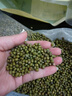 吾谷為伴綠豆 2斤 綠豆湯 可發(fā)豆芽 打豆?jié){ 東北雜糧 真空包裝 大米伴侶 曬單實拍圖