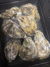 燈塔水母【鮮活】乳山生蠔牡蠣6XL號(hào)凈重5斤源頭直發(fā) 曬單實(shí)拍圖