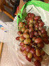 京地達西昌克倫生無(wú)籽紅提 凈重3斤 無(wú)籽紅提新鮮葡萄馬奶源頭直發(fā)包郵 曬單實(shí)拍圖