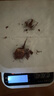 【頭茬-芋頭】正宗云南牛奶小芋頭軟糯現挖新鮮香甜寶寶輔食 普通裝單個(gè)15g+ 4.5斤帶箱 凈重4斤 曬單實(shí)拍圖