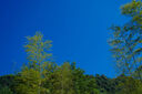 適馬（SIGMA）16-300mm F3.5-6.7 DC OS 半畫幅 遠(yuǎn)攝大變焦長(zhǎng)焦鏡頭 一鏡走天下 風(fēng)光人像 富士X口 濾鏡禮包套裝 曬單實(shí)拍圖