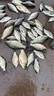 川澤羅非蘆葦魚漂高靈敏短腳細(xì)長身輕口猾口底釣醒目鯽魚黑坑魚漂 LW01-5( 大型鯽魚,吃鉛2.05g) 高靈敏陳年蘆葦 曬單實(shí)拍圖