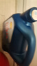殼牌（Shell）機油全合成機油5w-30(5w30) API SP級 4L三代藍殼HX7PLUS京東養(yǎng)車 曬單實拍圖