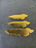 菜百首飾 足金Au999.9黃金金磚收藏禮品 “財(cái)富”金條 20克 曬單實(shí)拍圖