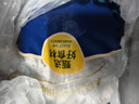 賣(mài)魚(yú)七郎 三去鮮凍八爪魚(yú)凈重1.7斤去牙去眼去內臟小章魚(yú)冷凍海鮮火鍋食材 曬單實(shí)拍圖