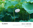 松下S5M2XWGK 全畫幅微單相機 20-60mm+50mm鏡頭 Panasonic數(shù)碼相機 約2420萬有效像素 相位混合對焦 曬單實拍圖