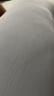 浪莎（langsha）床上抱枕睡覺(jué)孕婦夾腿冰絲涼感長(cháng)條大抱枕男女生睡覺(jué)專(zhuān)用夾腿側睡 春夏秋季-藍色【涼感透氣】 45cm*115cm 含枕芯 【成人款】 曬單實(shí)拍圖