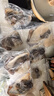 東上御品 山東 鮮凍三去開背大魷魚5斤凈重 去牙去頭去內(nèi)臟年貨-源頭直發(fā) 曬單實拍圖