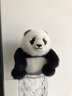 綠聯(lián)手機(jī)支架 桌面折疊升降平板ipad支架懶人床頭直播游戲閱讀追劇多功能小巧便捷伸縮支架 曬單實(shí)拍圖