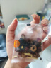 同仁堂（TRT）紅糖姜棗茶阿膠黑糖姜棗茶紅糖姜茶大姨媽桂圓紅三伏天送女友150g 曬單實(shí)拍圖
