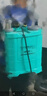 海道氣壓式手動噴霧器非電動手搖背負(fù)式打藥機(jī)鋼化氣囊加厚款18升 曬單實(shí)拍圖