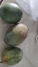 【新鮮上市】正宗攀枝花凱特芒果新鮮水果 帶箱5斤 中大果【單果200-300g】 曬單實(shí)拍圖