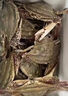 梭子蟹鮮活冷凍特大野生舟山大螃蟹海鮮新鮮冷凍海蟹水產(chǎn)飛蟹白蟹 大號梭子蟹【約5-7兩 】凈重4斤 曬單實拍圖