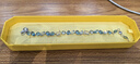 施華洛世奇（SWAROVSKI）GEMA多巴胺女生手鏈女手鐲送女朋友七夕情人節(jié)生日禮物5666018 曬單實拍圖