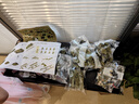 星涯優(yōu)品兒童積木玩具99A主戰坦克汽車(chē)拼裝軍事模型男女孩生日禮物 曬單實(shí)拍圖