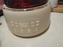 World Kitchen康寧養生壺全玻璃恒溫壺煮茶壺煮茶器1L辦公室家用花茶壺燒水壺電熱水壺（升級茶漏款+全玻璃蓋） 曬單實(shí)拍圖