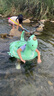 swimbobo兒童游泳圈6歲充氣泳圈小孩大童腋下圈浮圈初學(xué)者游泳圈K5104 曬單實(shí)拍圖