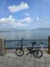 大行（DAHON）經(jīng)典P8折疊自行車成人20英寸8速男女式通勤運(yùn)動(dòng)單車KBC083 消光黑【經(jīng)典版】 曬單實(shí)拍圖