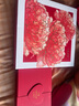 玉蘭油（OLAY）大紅瓶水乳液面霜禮盒抗皺緊致抗衰老化妝品護(hù)膚品套裝中秋禮品女 曬單實(shí)拍圖