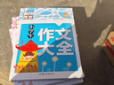 小學生滿分作文+分類作文+作文大全+好詞好句好段(全4冊)黃岡作文 小學生三四五六年級輔導素材人教版寫作技巧書籍全國通用3-4-5-6年級5-9-12歲適用作文大全 曬單實拍圖