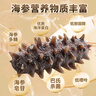 珍品堂 大連冷凍即食海參 遼刺參獨(dú)立包裝 新鮮海鮮水產(chǎn) 海參官方旗艦店 【大連高品遼參】2斤24-32 只 / 高端送禮 自用優(yōu)選 曬單實(shí)拍圖