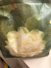 babycare一次性內(nèi)褲山茶花孕產(chǎn)婦大碼日拋月子待產(chǎn) XL碼30條【安全滅菌】 曬單實(shí)拍圖