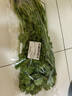 帶根香菜100g 曬單實拍圖