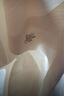 草本初色山茶花香氛內衣女寬肩帶細閃透氣聚攏涼感無(wú)痕全罩杯文胸秋冬送禮 曬單實(shí)拍圖