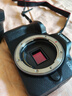 佳能（Canon）EOS R50 微單相機(jī)套機(jī) 小型便攜高清數(shù)碼照相機(jī) 4K vlog視頻拍攝 新款 R50 單機(jī)+18-45mm鏡頭 黑色 曬單實(shí)拍圖