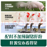 英氏嬰幼兒肝粉嘗鮮裝6g寶寶輔食豬肝粉嬰兒強化鐵拌飯料調味品試用裝 曬單實拍圖