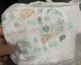 好奇（Huggies）森林密語 成長褲 拉拉褲  小森林 XXXL26片 曬單實拍圖