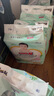 大王【品牌直供】花信風(fēng)紙尿褲 M66片(6-11kg)尿不濕嬰兒 超薄透氣 曬單實(shí)拍圖