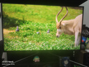 雷鳥(niǎo)（FFALCON）U8 25款 27英寸4K165Hz高刷電競顯示器 1152分區QD-MiniLED  Type-C 90W HDR1400 游戲辦公顯示屏 【U8爆款】節能版/內置音響/旋轉升 曬單實(shí)拍圖